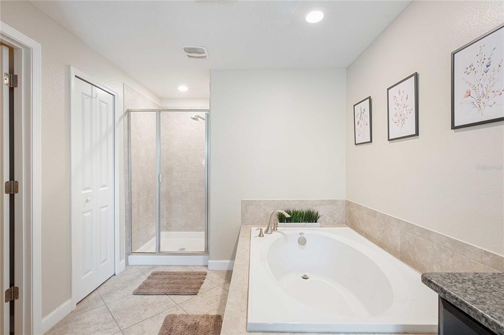 17365 Old Tobacco Road Lutz, FL 33558 - Photo 28 of 44 a bathroom with a bathtub and a sink