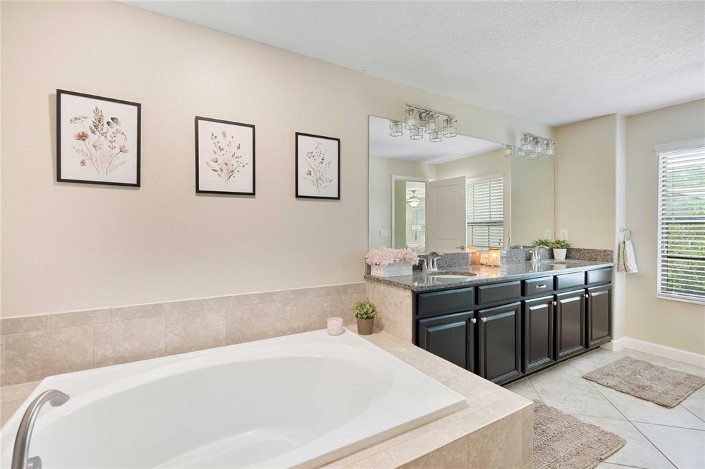 17365 Old Tobacco Road Lutz, FL 33558 - Photo 29 of 44 a bathroom with a tub a sink and mirror