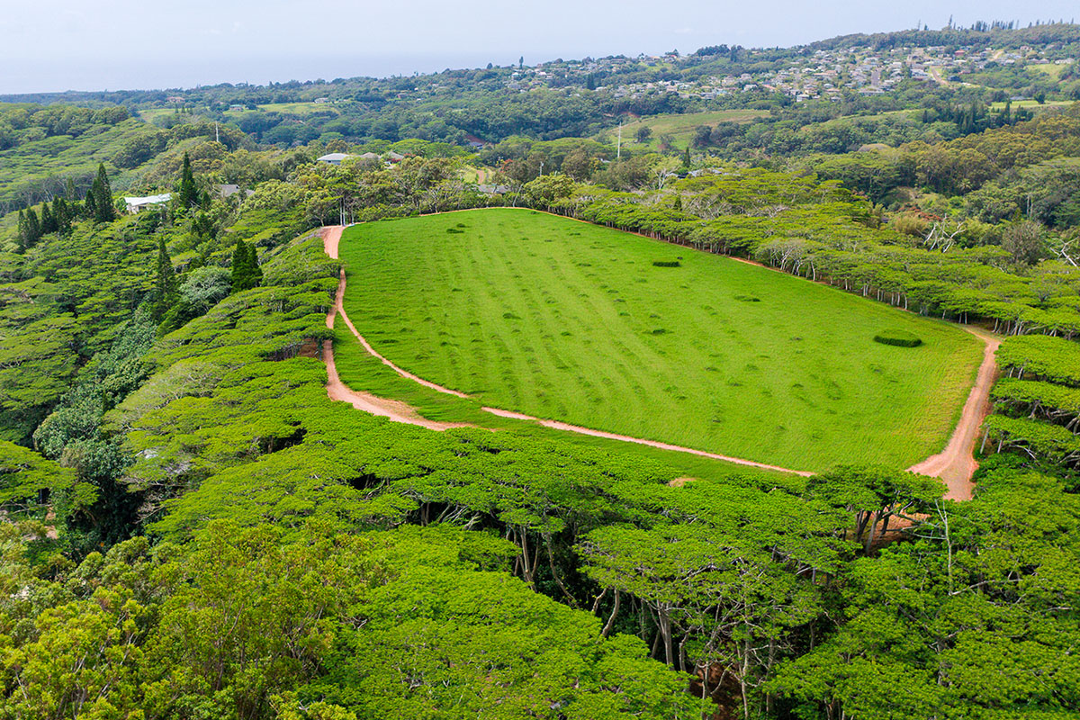 3310 Wawae Road Kalaheo, HI 96741 - Photo 17 of 30