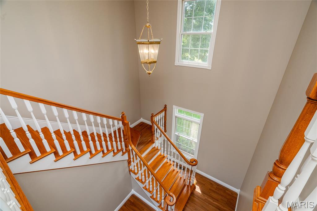 119 Club House Road Makanda, IL 62958 - Photo 38 of 62 Gallery Image 38
