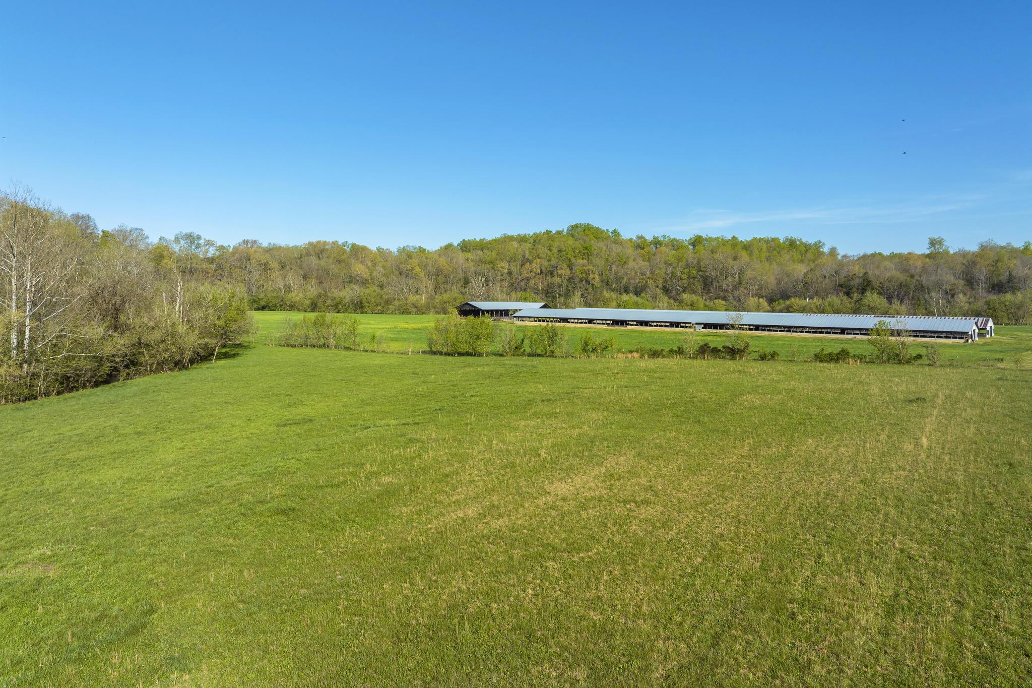 Tbd Little Chuckey Road, Unit 18 Midway, TN 37809 - Photo 3 of 15 TBDLittleChuckey16