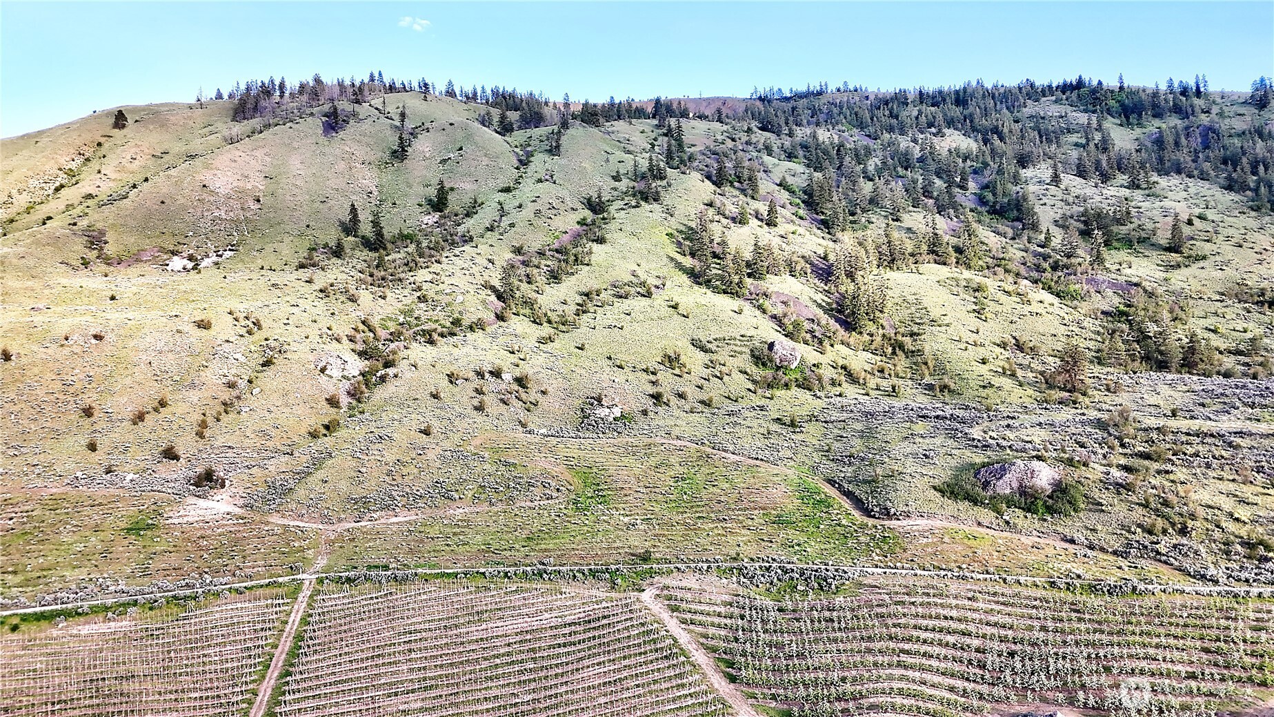 0 Farnham Canyon Road Orondo, WA 98843 - Photo 6 of 24