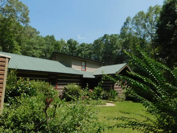 a view of a garden in the backyard