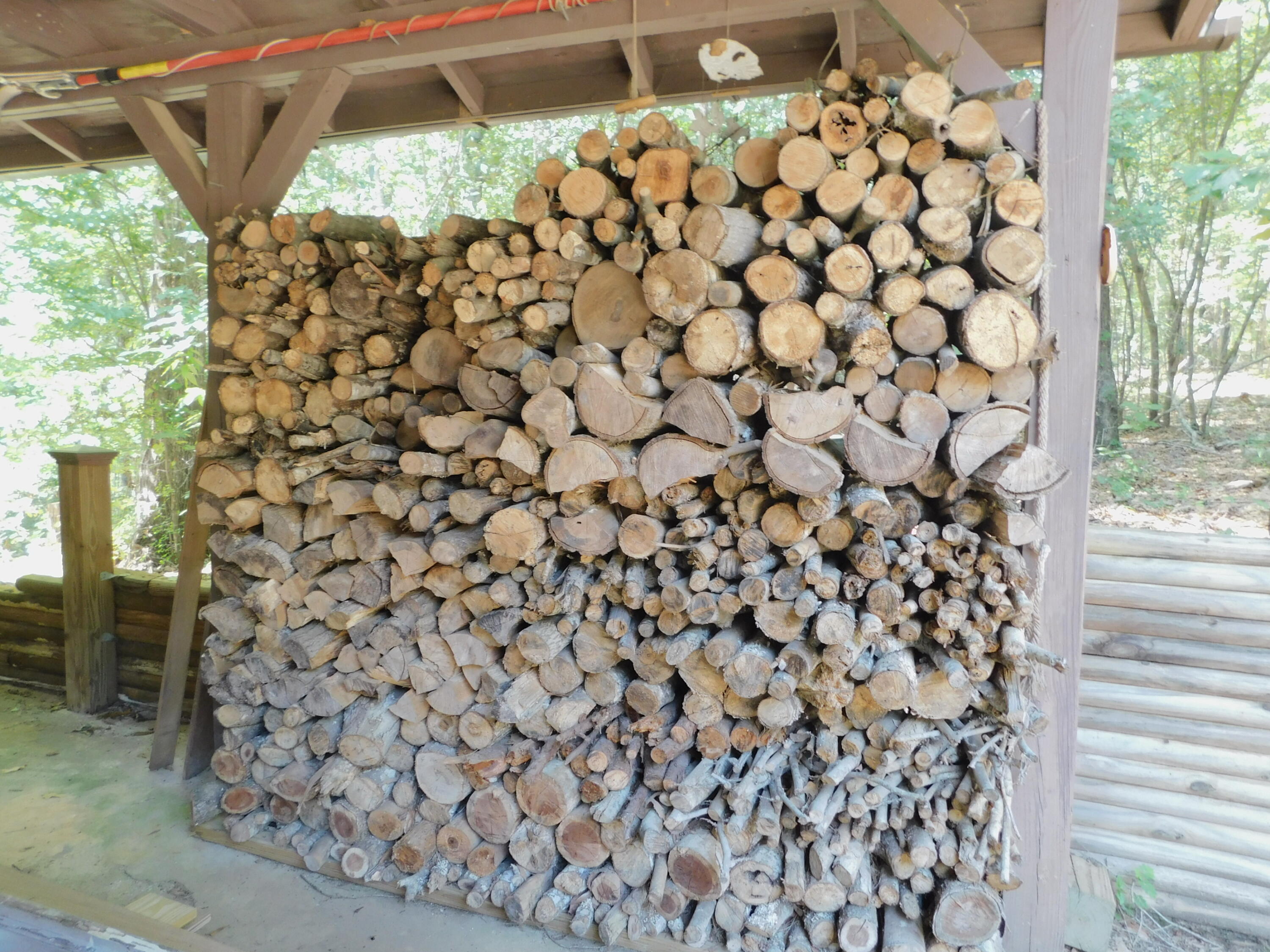 25278 Hidden Forest Lane Andalusia, AL 36421 - Photo 30 of 35