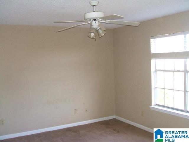 4705 Cook Springs Road Pell City, AL 35125 - Photo 16 of 20