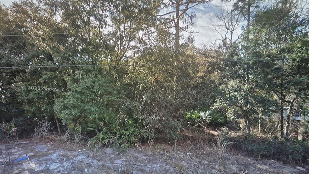 103 George Way Interlachen, FL 32148 - Photo 2 of 7