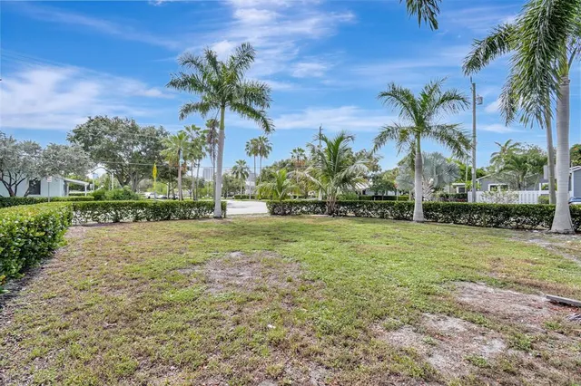 a palm tree sitting in front of a house with a big yard