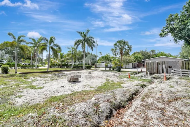 a view of a yard with palm tree