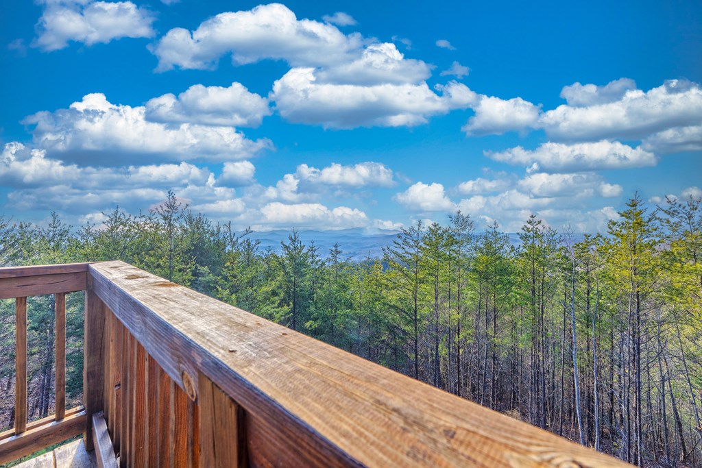 159 Patriot Ridge Murphy, NC 28906 - Photo 35 of 41