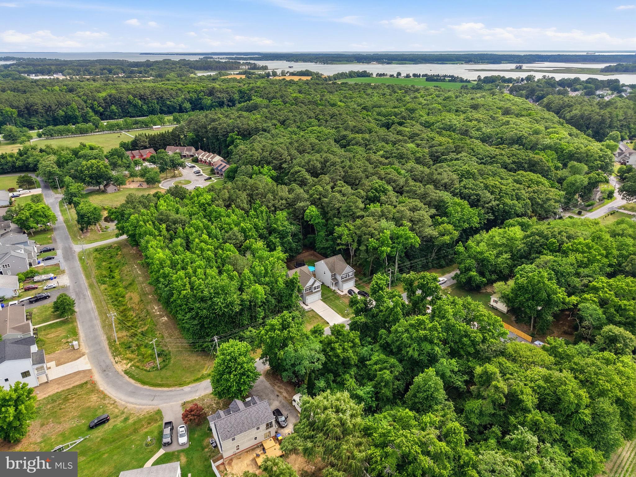 124 Riverside Drive Chester, MD 21619 - Photo 34 of 44 Lush greenery meets serene landscapes.