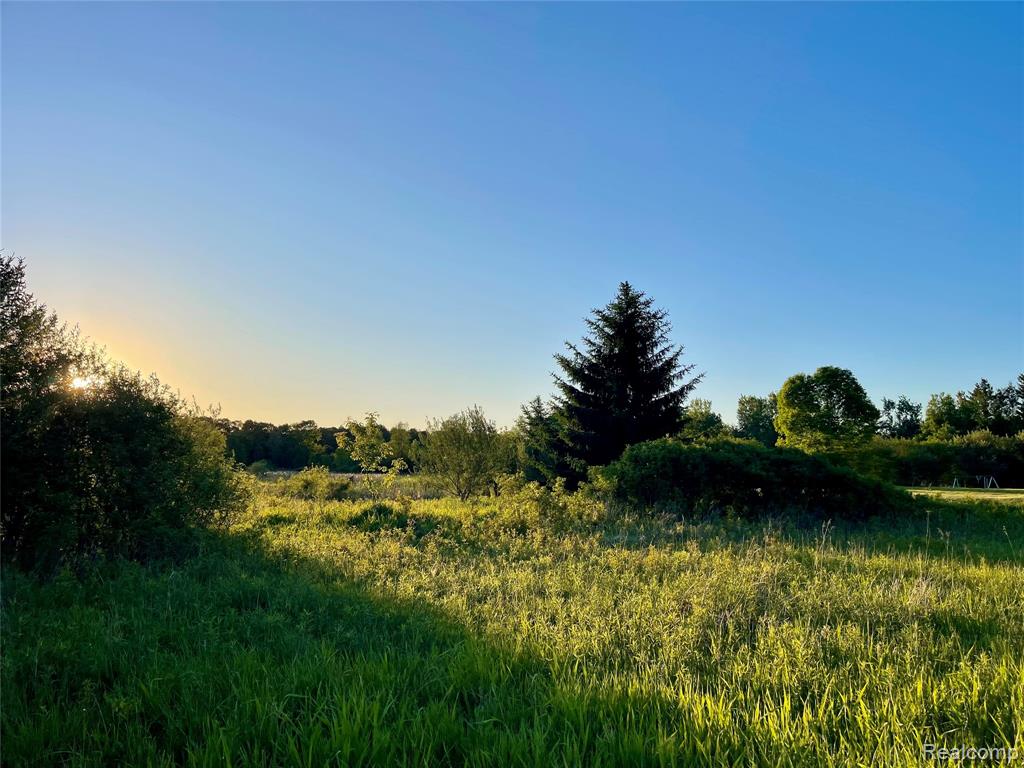 0 Hayden Road Attica, MI 48412 - Photo 6 of 7