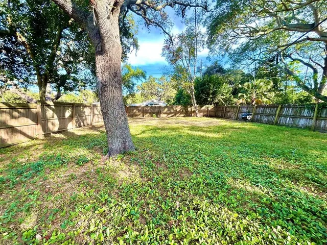 a view of a yard with a tree