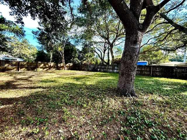 a view of a trees in a yard