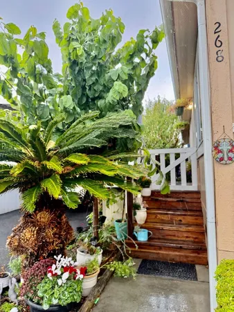 a view of a garden with flowers