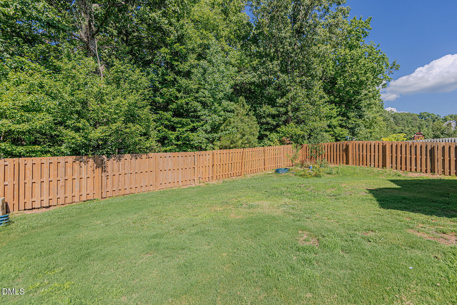 523 Botan Way Hillsborough, NC 27278 - Photo 44 of 54 _MGP3158