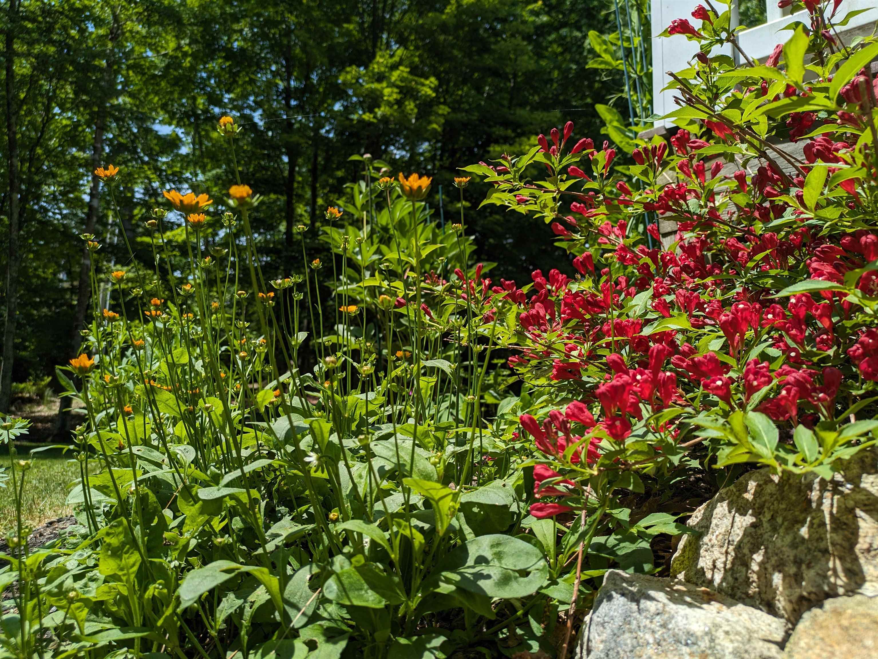 541 Bedford Road New Boston, NH 03070 - Photo 36 of 42 Gallery Image 36