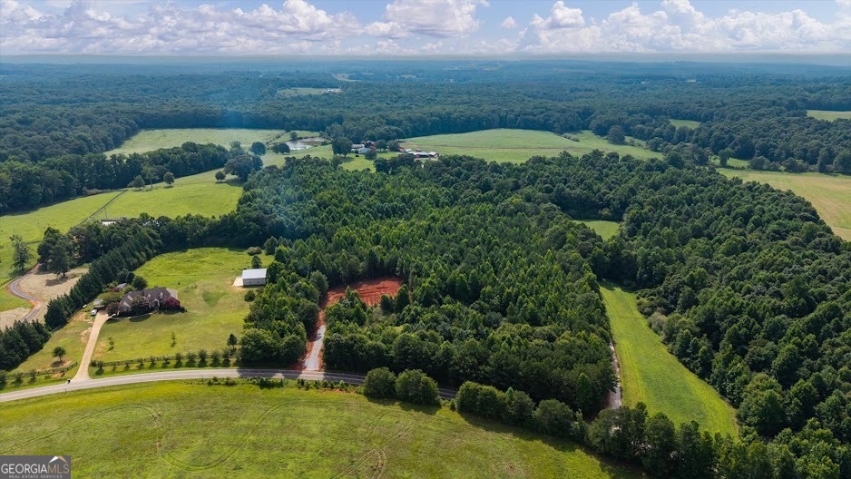 0 Shirey Dairy Road Carrollton, GA 30117 - Photo 11 of 19