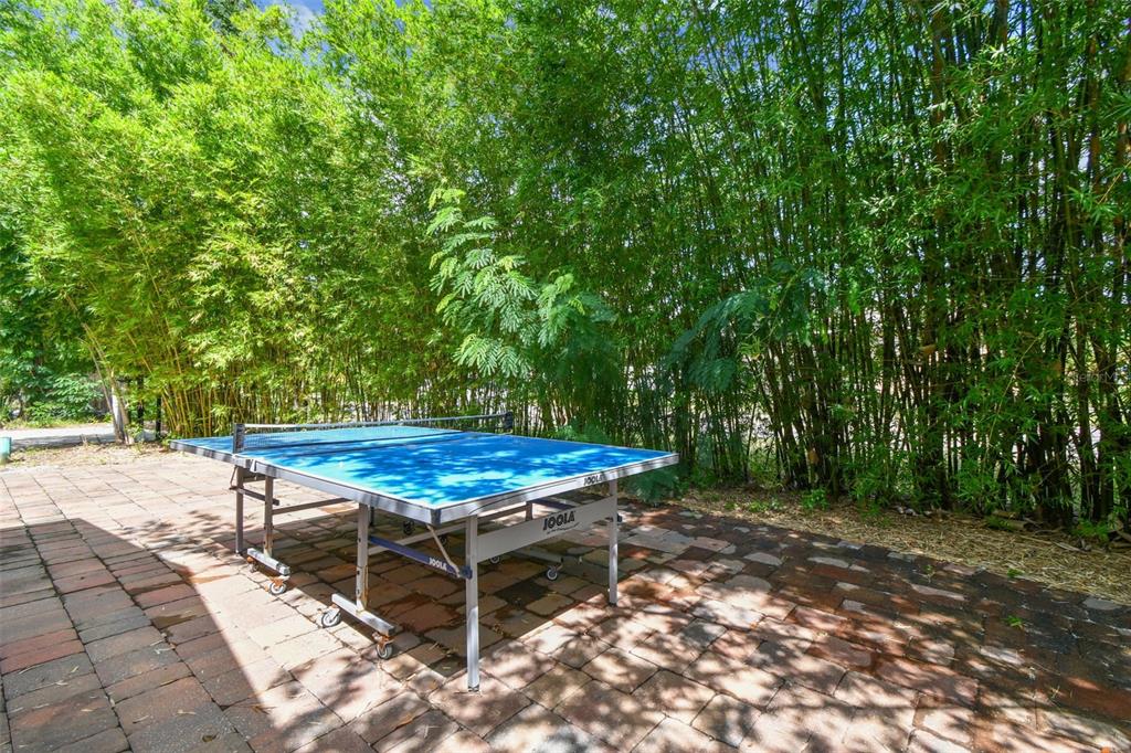 5909 Mohr Road Tampa, FL 33615 - Photo 24 of 48 a view of a backyard with chairs