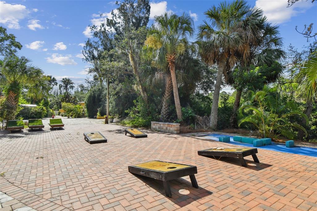 5909 Mohr Road Tampa, FL 33615 - Photo 30 of 48 a view of a swimming pool with a lounge chair and trees