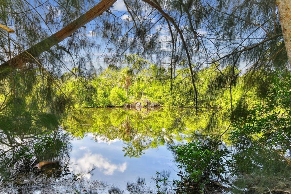 5909 Mohr Road Tampa, FL 33615 - Photo 3 of 48 a view of under tree