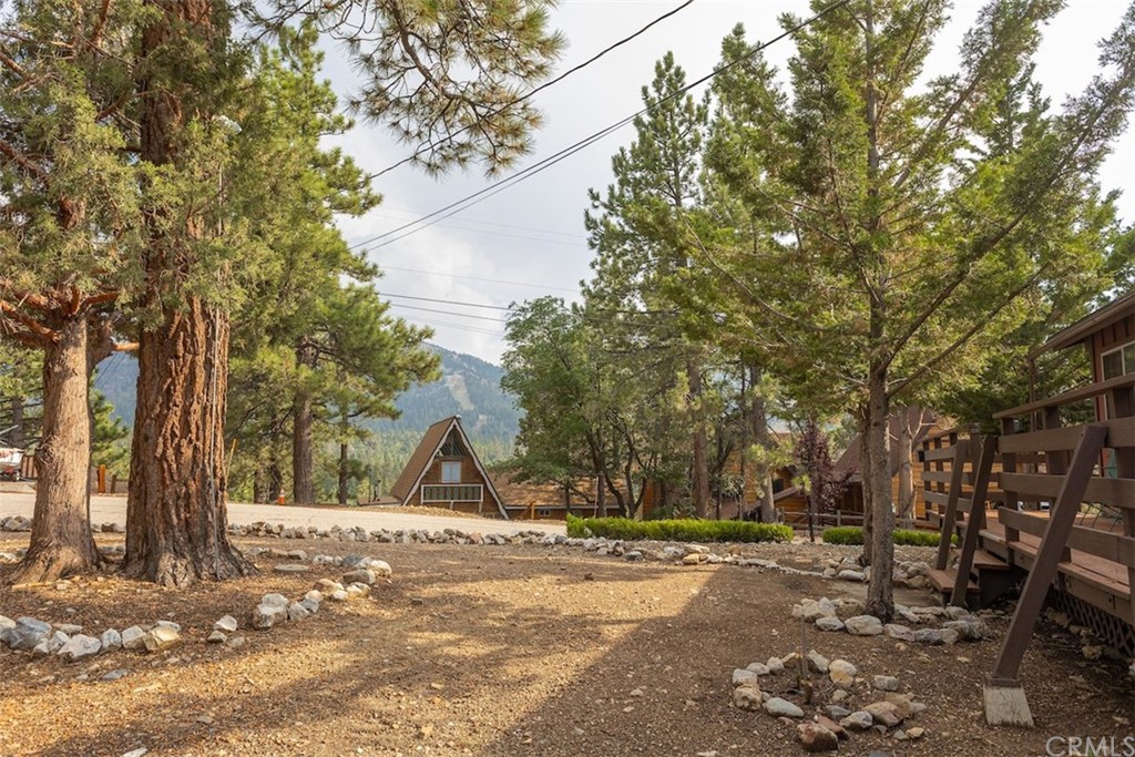 1270 Sheephorn Road Big Bear Lake, CA 92315 - Photo 23 of 25 a view of a park with large trees