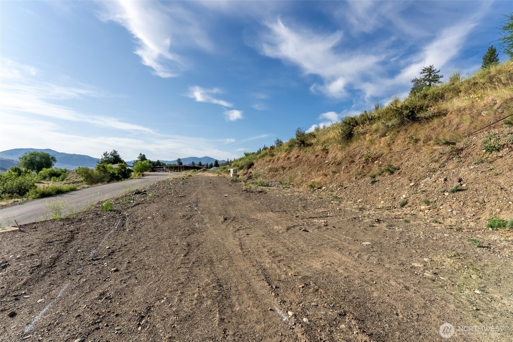 0 Isabella Lane Twisp, WA 98856 - Photo 18 of 36 a view of a dry yard with trees