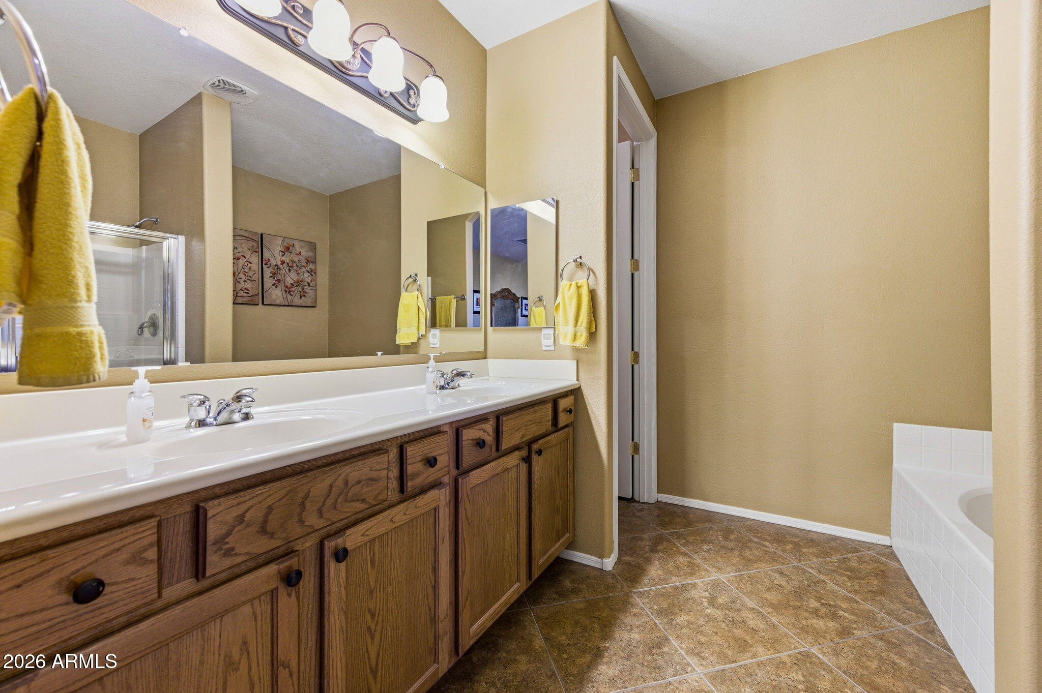 45558 West Mountain View Road Maricopa, AZ 85139 - Photo 19 of 33 a bathroom with a sink and a mirror