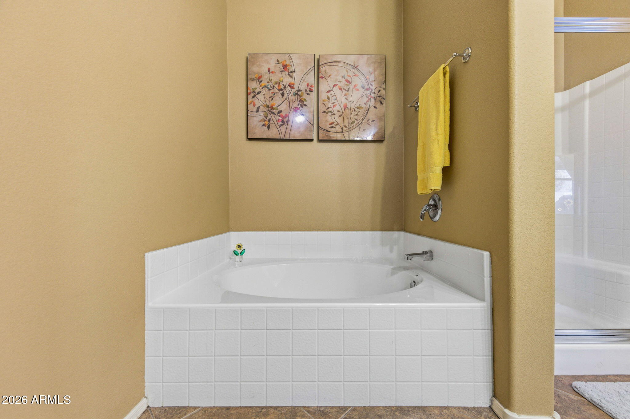45558 West Mountain View Road Maricopa, AZ 85139 - Photo 20 of 33 a bathroom with a tub