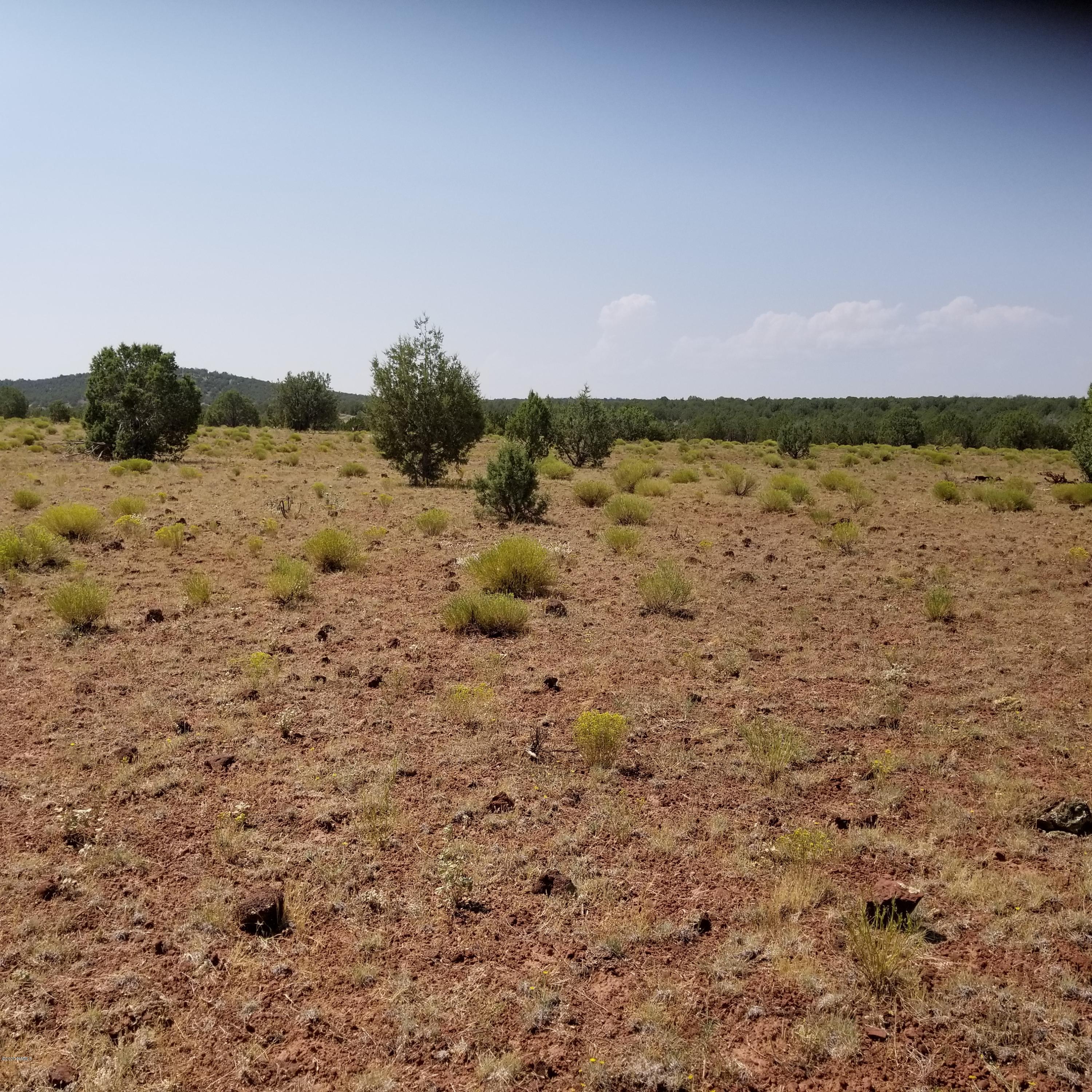 2592 West Plate Road Williams, AZ 86046 - Photo 2 of 8 20200826_113821