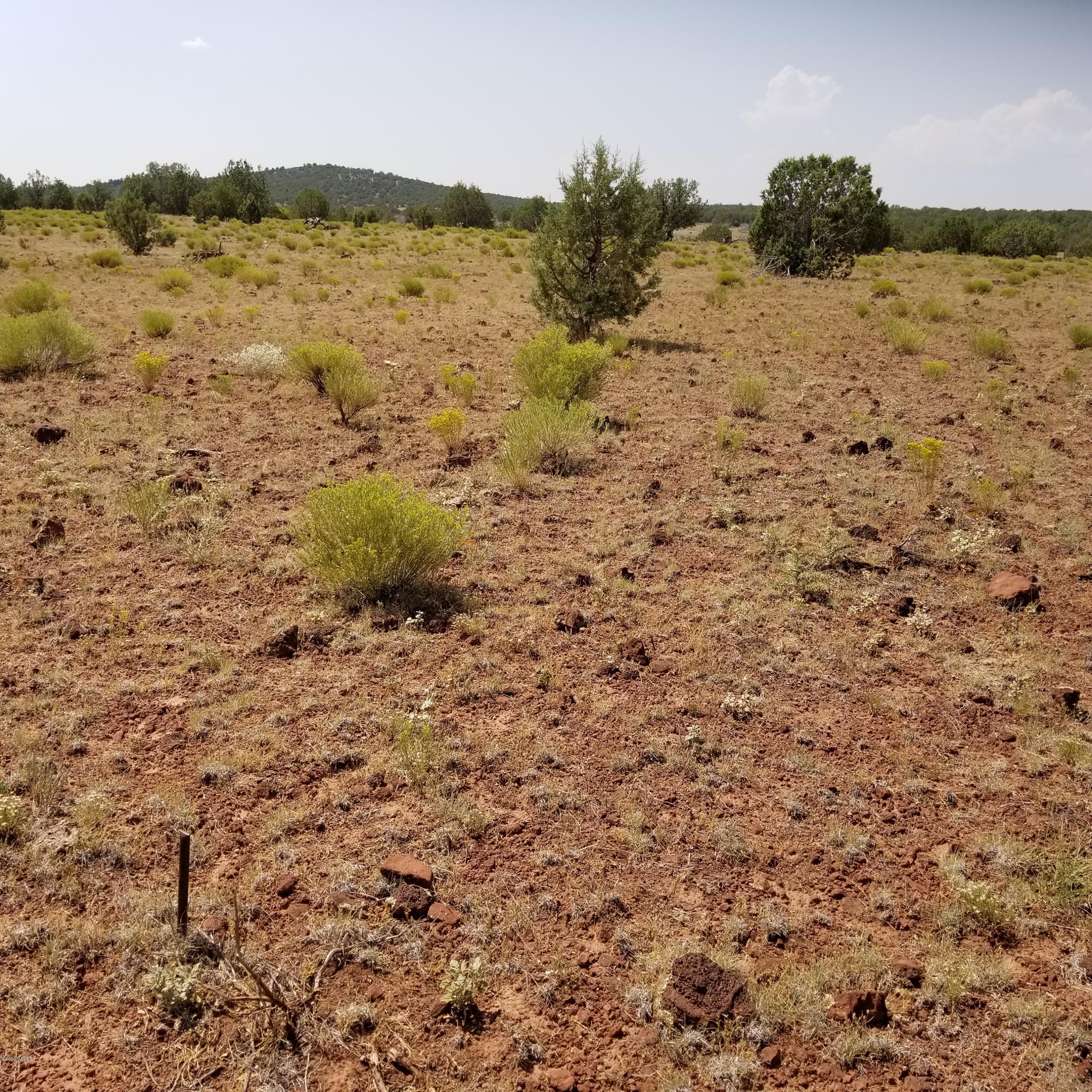 2592 West Plate Road Williams, AZ 86046 - Photo 4 of 8 Northeast corner