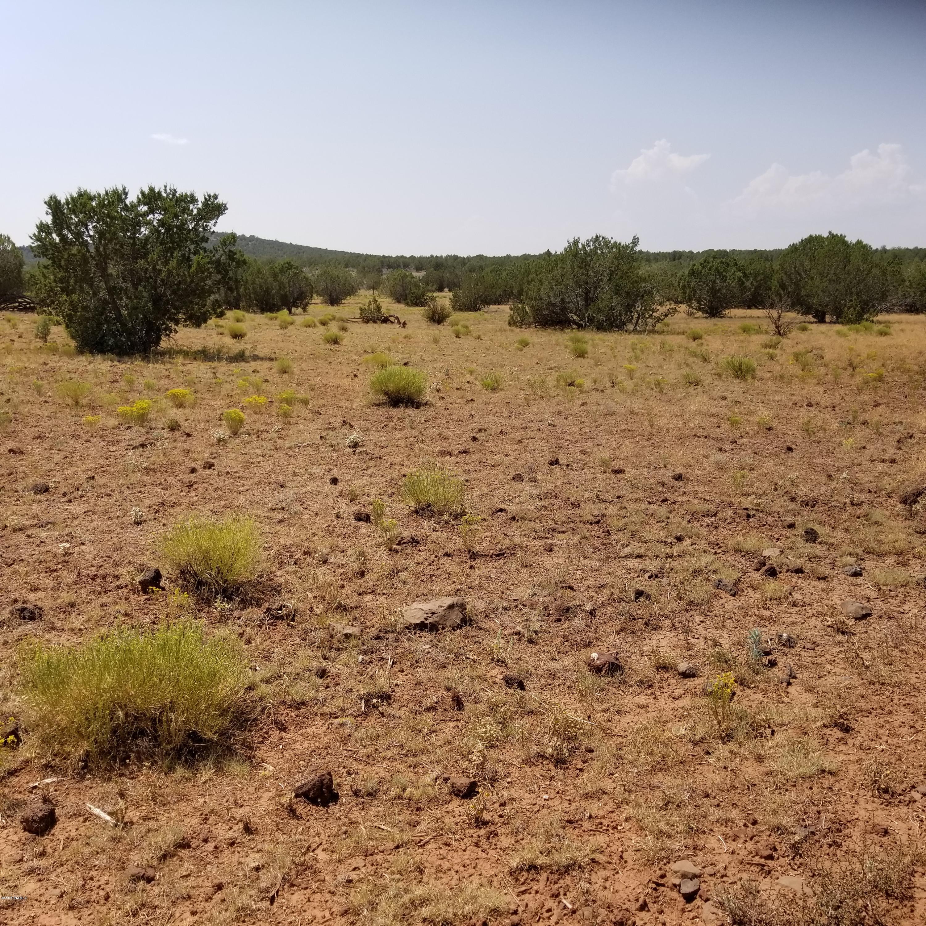 2592 West Plate Road Williams, AZ 86046 - Photo 5 of 8 20200826_114548