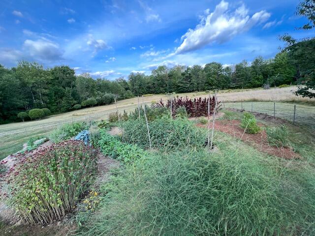 290 Hallowell Road Pownal, ME 04069 - Photo 44 of 68 image1