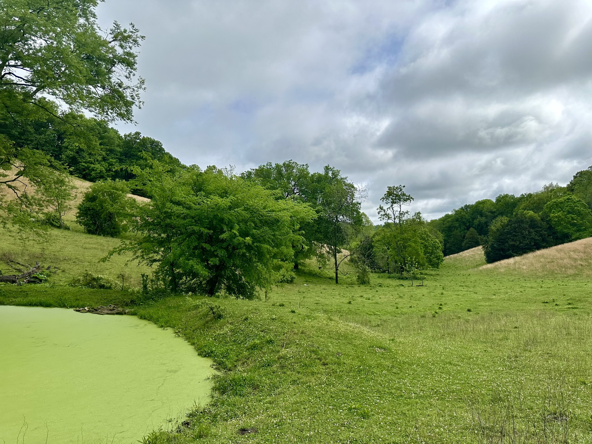 70 South Crystal Ridge Road Mulberry, TN 37359 - Photo 22 of 30 Gallery Image 22
