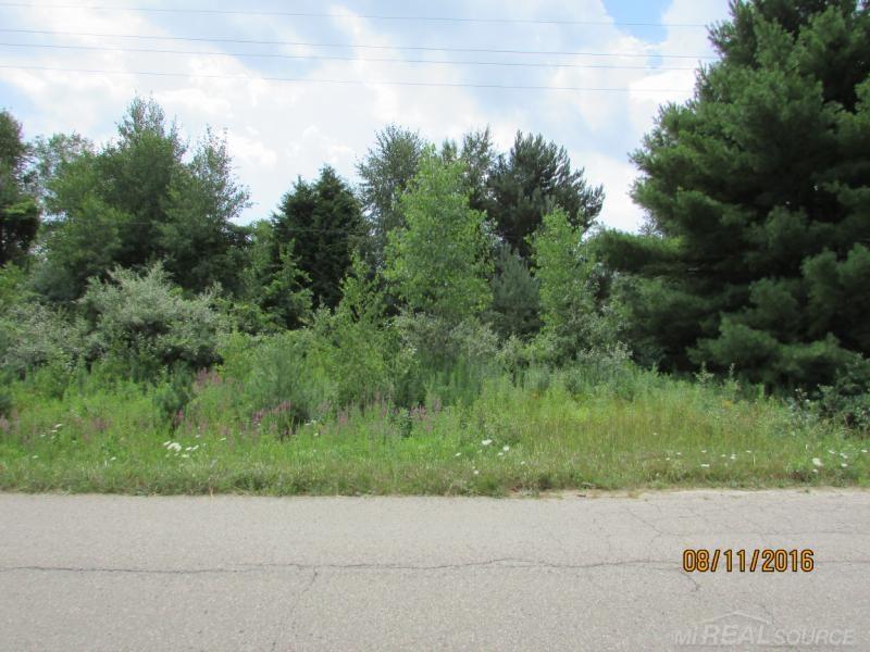 Tbd Harrington Road Lexington, MI 48450 - Photo 8 of 8