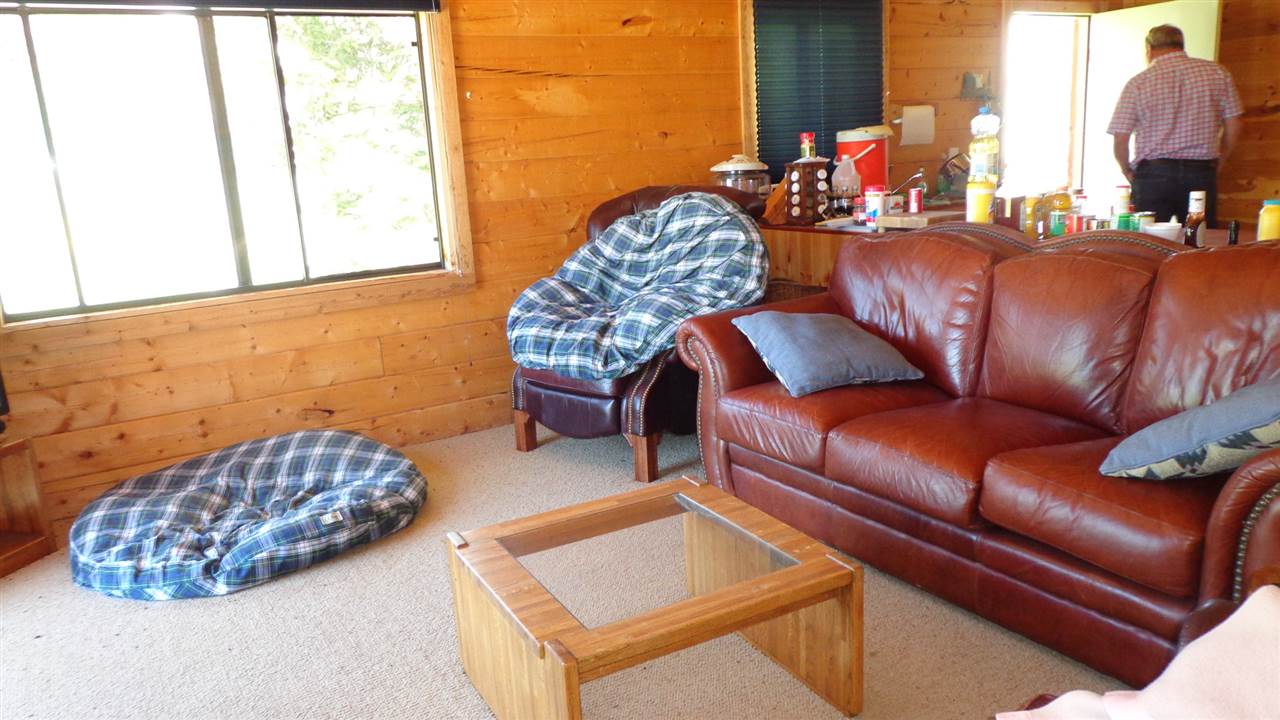 4802 Armitage Springs Road Powderhorn, CO 81243 - Photo 23 of 41 Gallery Image 23