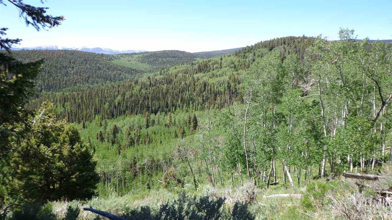 4802 Armitage Springs Road Powderhorn, CO 81243 - Photo 30 of 41 Gallery Image 30