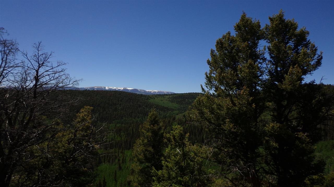 4802 Armitage Springs Road Powderhorn, CO 81243 - Photo 31 of 41 Gallery Image 31