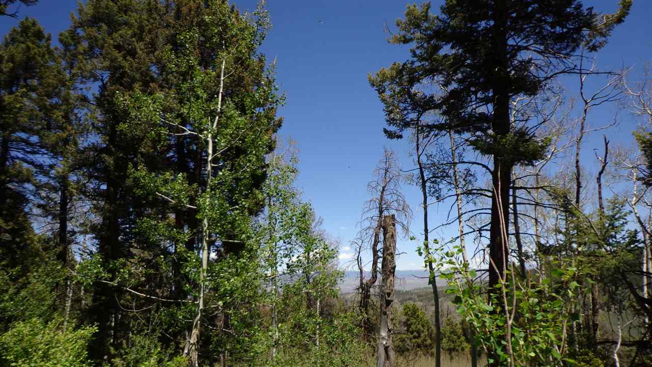 4802 Armitage Springs Road Powderhorn, CO 81243 - Photo 33 of 41 Gallery Image 33