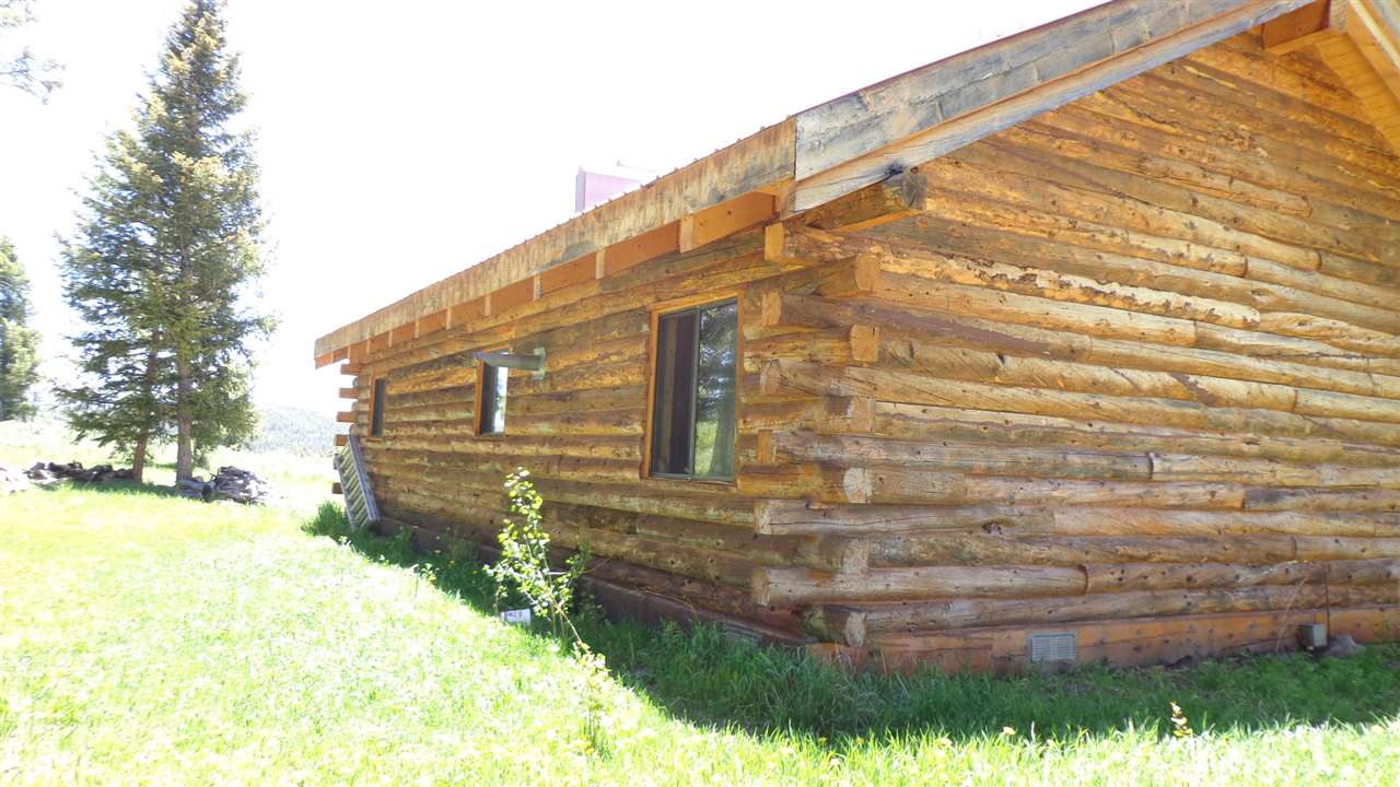 4802 Armitage Springs Road Powderhorn, CO 81243 - Photo 5 of 41 Gallery Image 5