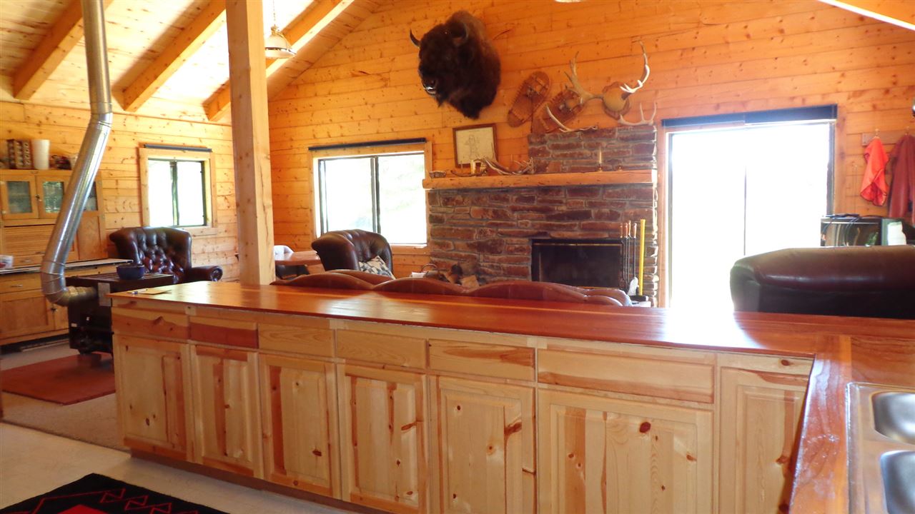 4802 Armitage Springs Road Powderhorn, CO 81243 - Photo 6 of 41 Gallery Image 6