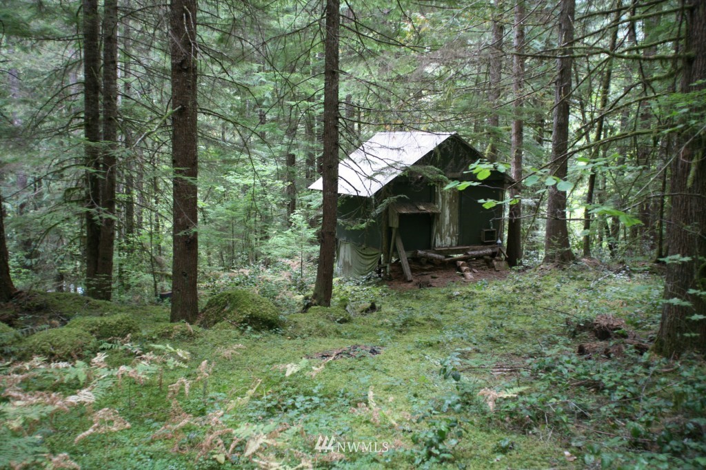 64038 Cascade River Road Marblemount, WA 98267 - Photo 1 of 13 Gallery Image 1
