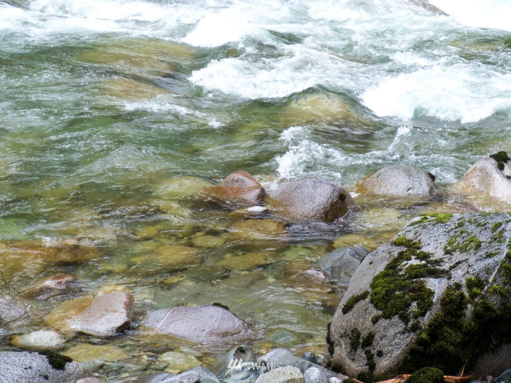64038 Cascade River Road Marblemount, WA 98267 - Photo 11 of 13 Gallery Image 11