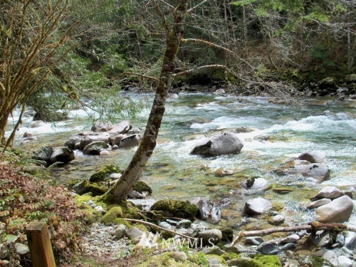 64038 Cascade River Road Marblemount, WA 98267 - Photo 13 of 13 Gallery Image 13