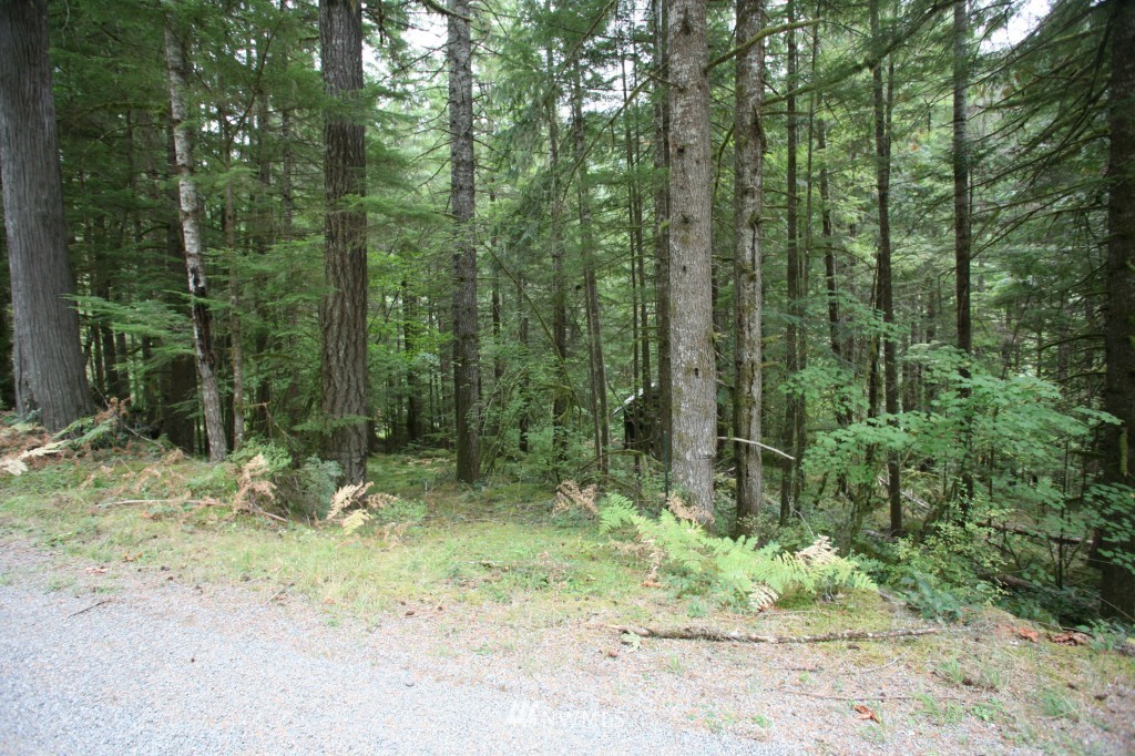 64038 Cascade River Road Marblemount, WA 98267 - Photo 3 of 13 Gallery Image 3