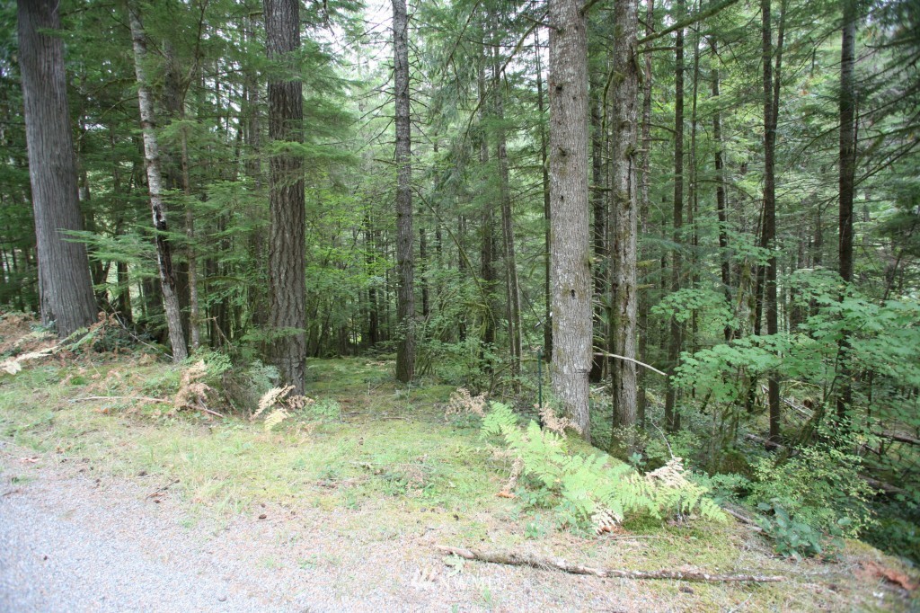 64038 Cascade River Road Marblemount, WA 98267 - Photo 4 of 13 Gallery Image 4