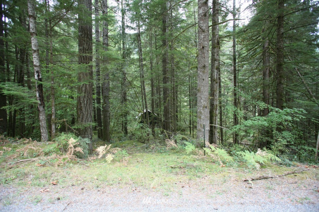 64038 Cascade River Road Marblemount, WA 98267 - Photo 5 of 13 Gallery Image 5