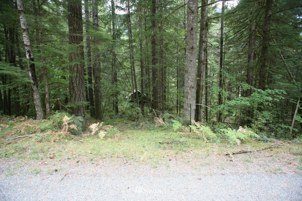 64038 Cascade River Road Marblemount, WA 98267 - Photo 6 of 13 Gallery Image 6