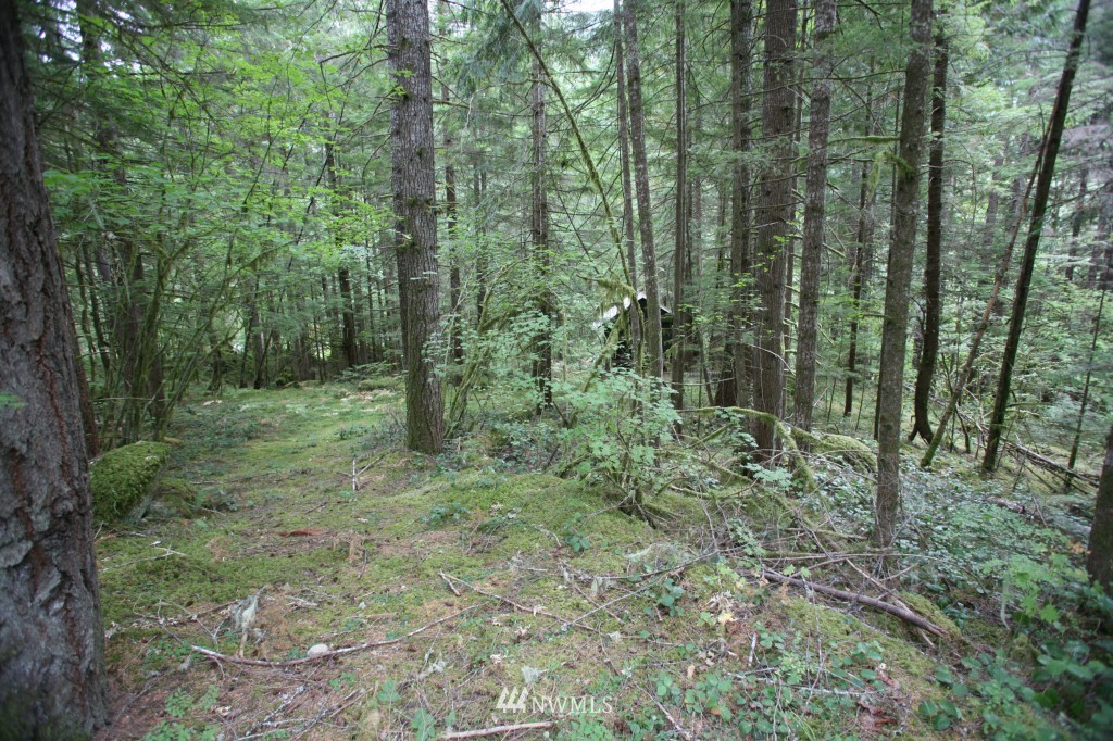 64038 Cascade River Road Marblemount, WA 98267 - Photo 7 of 13 Gallery Image 7