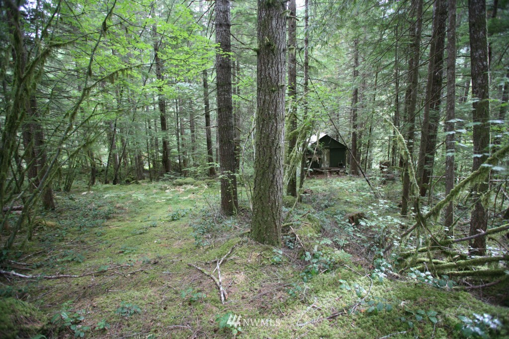 64038 Cascade River Road Marblemount, WA 98267 - Photo 8 of 13 Gallery Image 8