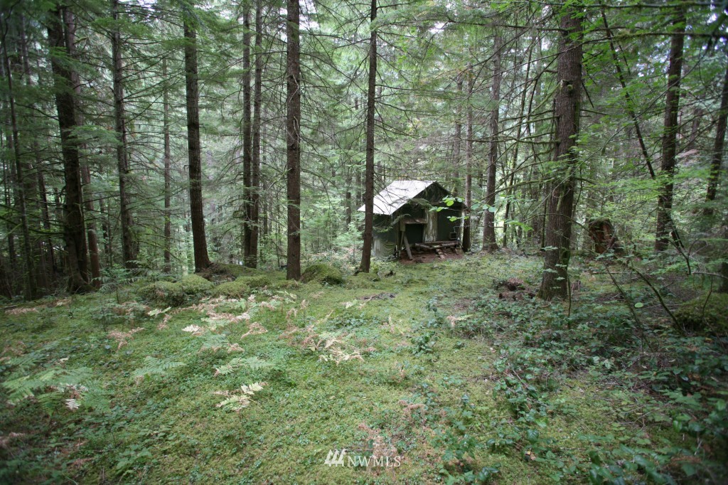 64038 Cascade River Road Marblemount, WA 98267 - Photo 9 of 13 Gallery Image 9